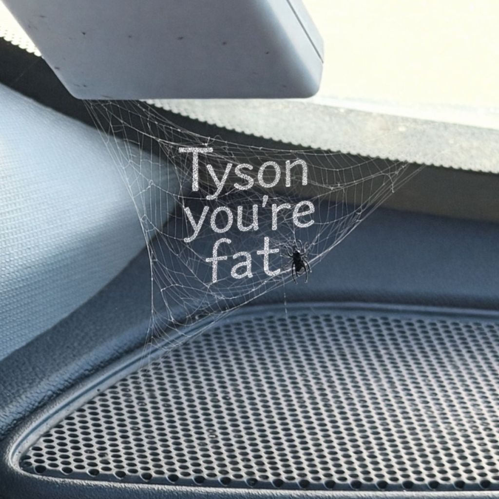 What you think you see