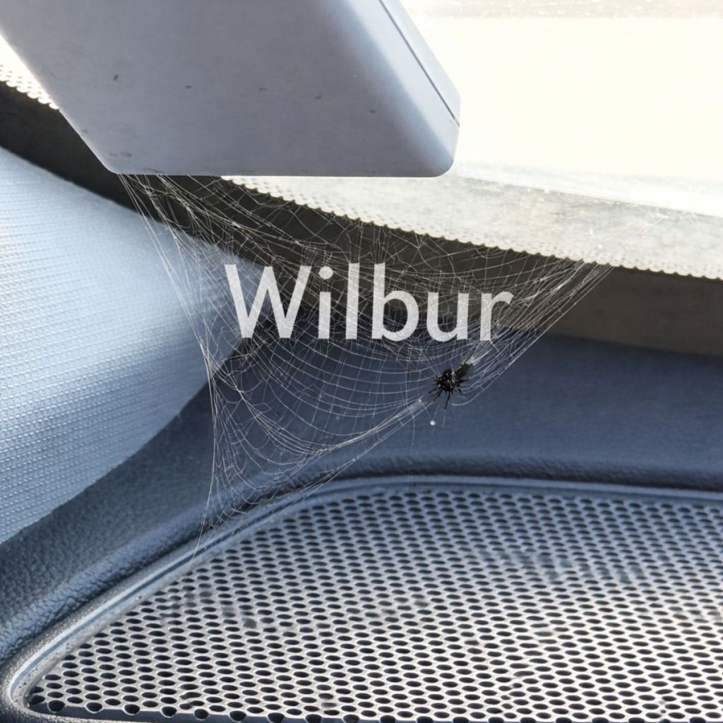 What you're taught to see